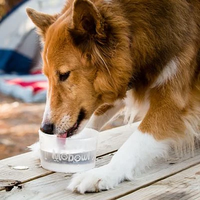 Comedero Plegable Mobowl - Imagen 2