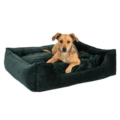 Cama Modern Living Fern Para Perros - Imagen 6