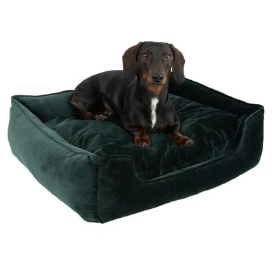 Cama Modern Living Fern Para Perros - Imagen 5