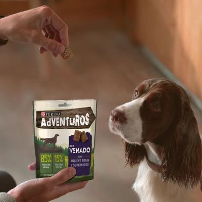 PURINA Adventuros Rico En Venado Con Granos Ancestrales - Imagen 6
