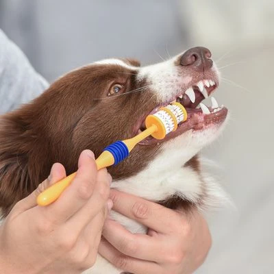 Arm & Hammer Set Higiene Dental Con Cepillo Y Pasta De Dientes Para Perros - Imagen 4