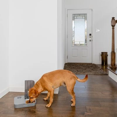Comedero Automático Doble PetSafe® Para Mascotas - Imagen 7