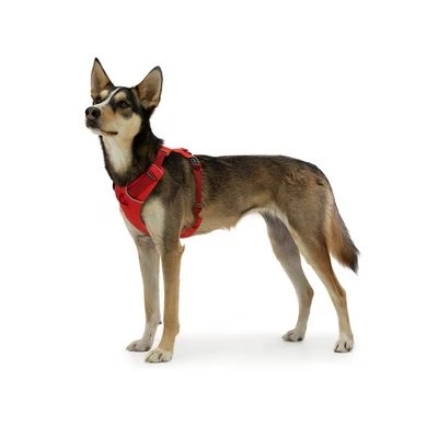 Arnés Ruffwear New Front Range Rojo Para Perros - Imagen 5