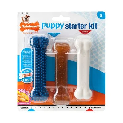 Huesos Nylabone Puppy - Pack De Inicio