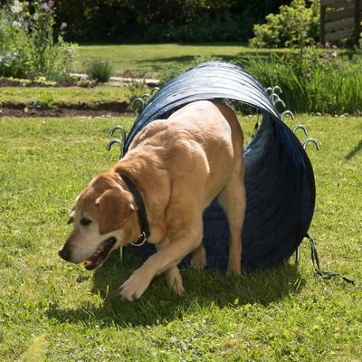 Túnel Agility Trixie - Imagen 3