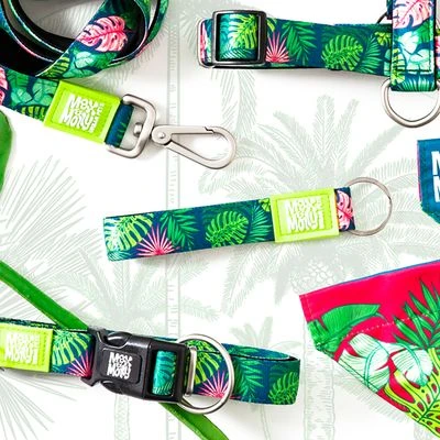 Collar Max & Molly Tropical Con Smart ID Para Perros - Imagen 2