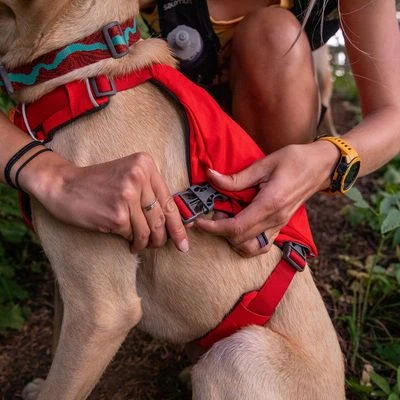 Arnés Ruffwear Switchbank Rojo Para Perros - Imagen 7