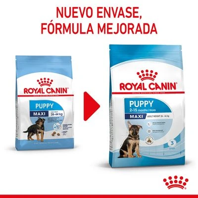 Royal Canin Maxi Puppy - Imagen 3