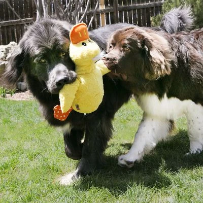 KONG Comfort Jumbo Pato De Juguete Para Perros - Imagen 2