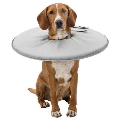 Collar Isabelino Trixie Para Perros - Imagen 5