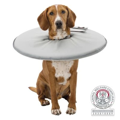 Collar Isabelino Trixie Para Perros - Imagen 6