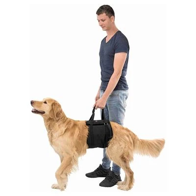 Arnés De Elevación Trixie Para Perros - Imagen 2
