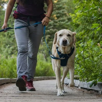 Arnés Para Perros Ruffwear Front Range, Blue Moon - Imagen 8