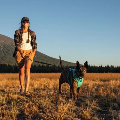 Arnés Para Perros Ruffwear Front Range, Aurora Teal - Imagen 14