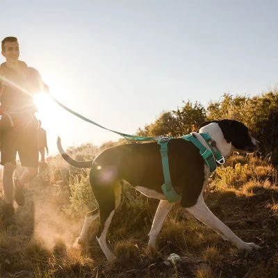 Arnés Para Perros Ruffwear Front Range, Aurora Teal - Imagen 18