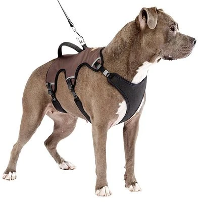 Arnés Ferplast Ergotrekking Marrón - Imagen 14