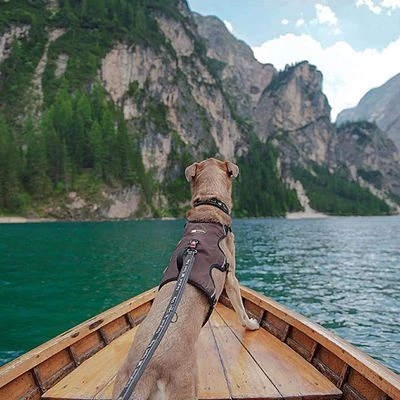 Arnés Ferplast Ergotrekking Marrón - Imagen 18