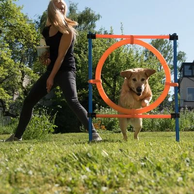 Aro Agility Fun & Sport - Imagen 16