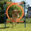Aro Agility Fun & Sport
