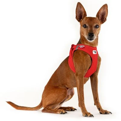 Arnés Curli Vest Clasp Air-Mesh Rojo Para Perros - Imagen 3