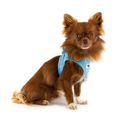 Arnés Curli Vest Clasp Air-Mesh Azul Cielo Para Perros - Imagen 3