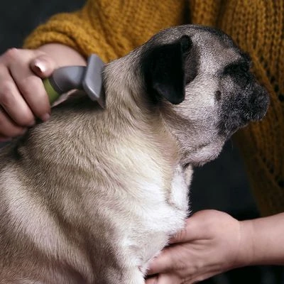 Peine Moser Para El Subpelo De Las Mascotas - Imagen 2