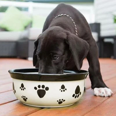 Vet's Best® Dental Refrescante De Aliento Para Perros - Imagen 2