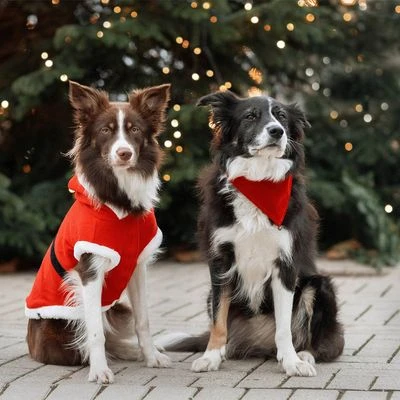 Trixie Abrigo Navideño Papá Noel Para Perros - Imagen 5