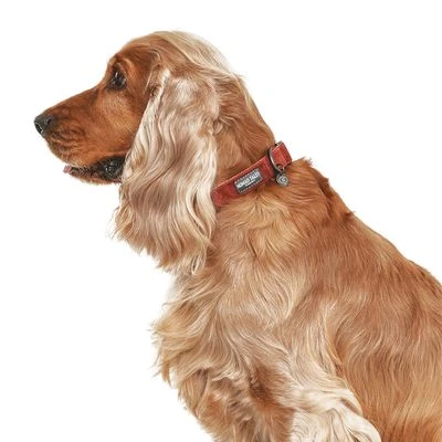 Collar Nomad Tales Blush Vino Para Perros - Imagen 4