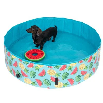 Piscina Para Perros TIAKI Con Cubierta - Imagen 5