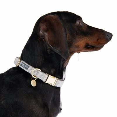 Collar Nomad Tales Calma Piedra Para Perros - Imagen 4
