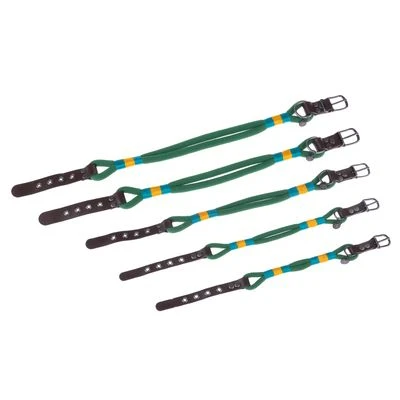 Collar Nomad Tales Spirit Pino Para Perros - Imagen 14