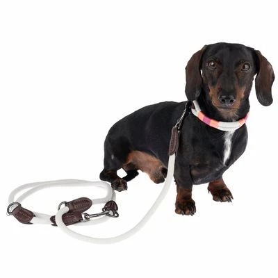 Correa Ajustable Nomad Tales Spirit Piedra Para Perros - Imagen 2