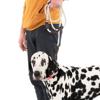 Correa Ajustable Nomad Tales Spirit Piedra Para Perros - Imagen 9