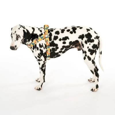 Arnés TIAKI Easy Care Para Perros - Imagen 10