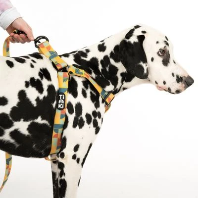 Arnés TIAKI Easy Care Para Perros - Imagen 14