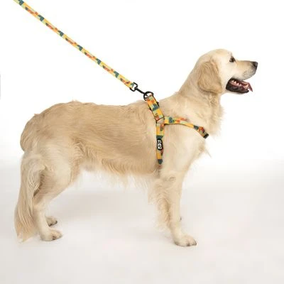 Arnés TIAKI Easy Care Para Perros - Imagen 15