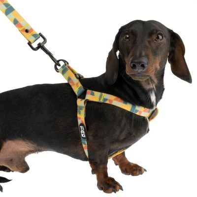 Arnés TIAKI Easy Care Para Perros - Imagen 5