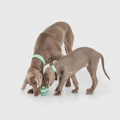 Pelota Portasnacks Nomad Tales Bloom Snack Roller Juguete Para Perros - Imagen 3