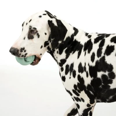 Pelota Portasnacks Nomad Tales Bloom Snack Roller Juguete Para Perros - Imagen 5