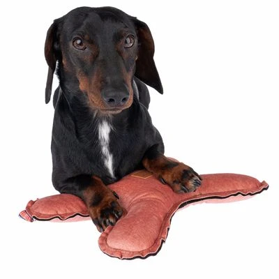 Blush Flying X Nomad Tales Juguete Para Perros - Imagen 6