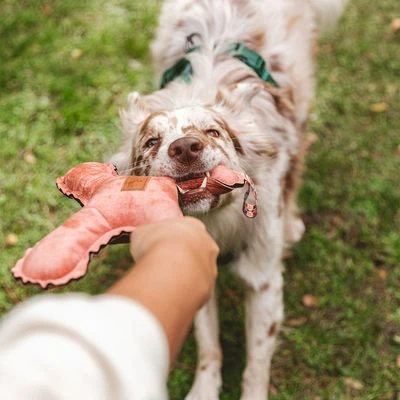 Blush Flying X Nomad Tales Juguete Para Perros - Imagen 8