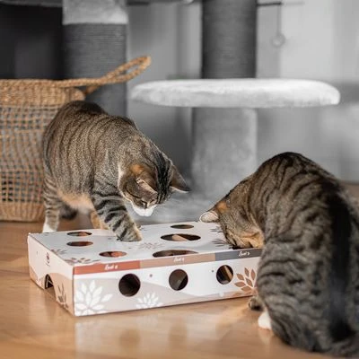 Canadian Cat Company MagicBox Juego De Inteligencia Para Gatos - Imagen 5