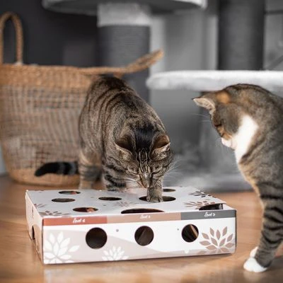 Canadian Cat Company MagicBox Juego De Inteligencia Para Gatos - Imagen 9