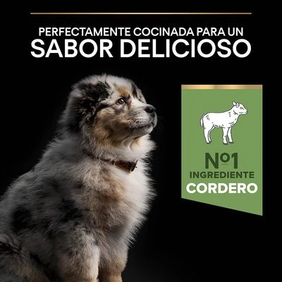 Purina Pro Plan Medium Puppy Sensitive Digestion Cordero Y Arroz - Imagen 7