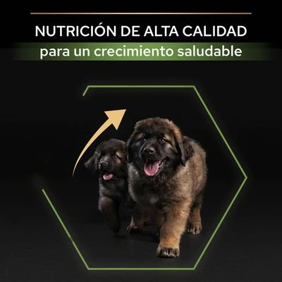 PURINA PRO PLAN Large Robust Puppy Healthy Start - Imagen 4
