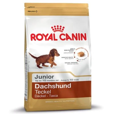 Royal Canin Teckel Puppy / Junior - Imagen 2