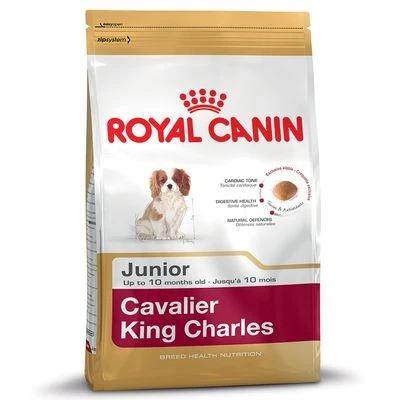 Royal Canin Cavalier King Charles Puppy / Junior - Imagen 2