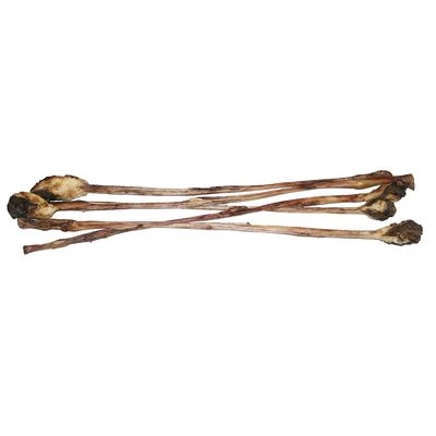 Snack Canibit Látigo De Ternera Para Perros - Imagen 4