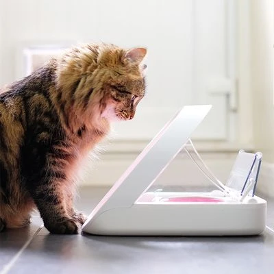 Sureflap Colgantes Identificativos Para Gateras Y Comederos Automáticos - Imagen 4